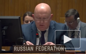 Небензя заявил о развязанной против России войне лжи