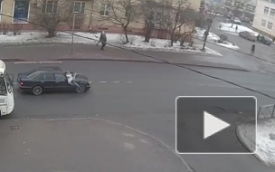 В Красном Селе машина сбила девушку, выбежавшую из-за маршрутки