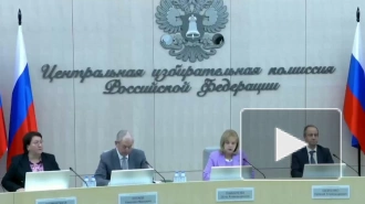 Памфилова: заявки на участие в ДЭГ на выборах президента РФ подали 1,45 млн избирателей