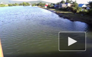 На Дальнем Востоке медведь напал на подростка и протащил 200 метров: на тело мальчика наложили 170 швов