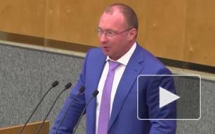 В ЦИК не будут проверять депутатов Госдумы на двойное гражданство