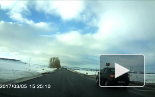 В Татарстане косуля померилась силами с машиной