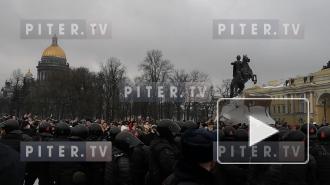 Видео: в столкновении с протестующими на Сенатской полиция применила дубинки