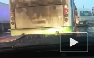 Видео: В массовом ДТП с большегрузом и полицейским микроавтобусом пострадали люди 