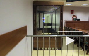 Петербуржец получил 5 тысяч рублей штрафа за то, что убил свою слепоглухую собаку
