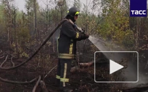 Пожары в Рязанской области не затронули торфяники