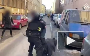Два подозреваемых в нападении на полицейского в Петербурге стали фигурантами уголовных дел