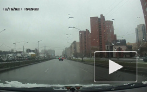 Пешеходы-смертники на переходе Коломяжского проспекта