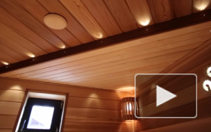 В Петербурге несколько мужчин растлили школьницу в сауне