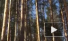 Свердловские школьники стали свидетелями сеанса изгнания дьявола 