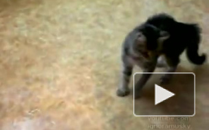 Двигай телом!