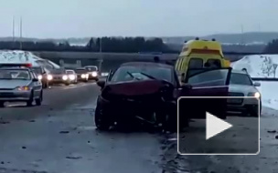 ДТП: автобус насмерть сбил человека на трассе в Карелии