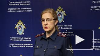 В Нижегородской области задержали подозреваемого в убийстве 12-летней девочки