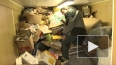 Экипаж Arctic Sunrise ставит рекорды в акции Greenpeace