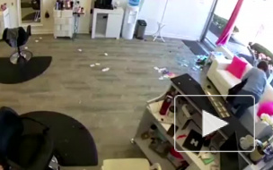 Видео из Нью-Йорка: Дикий олень ворвался в парикмахерскую и устроил там погром