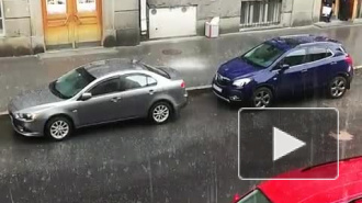 На выходных вернется привычная петербургская погода: ливни, грозы, ветер