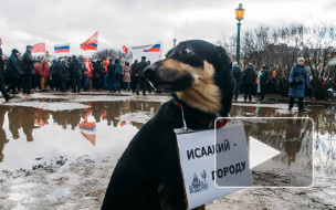 Видео: митинг в защиту Исаакия собрал 3000 человек и собаку