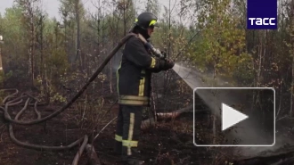 Пожары в Рязанской области не затронули торфяники