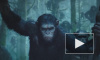 "Планета обезьян: Революция" (2014): фильм режиссера Мэтта Ривза удержится в топ-5