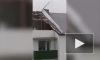 В Саратовской области ураган повредил крыши домов и электропередачу