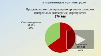 Краснов направил идеи по регламентации работы полиции при проверке бизнеса