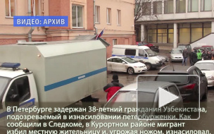 Мигрант избил и изнасиловал петербурженку в Курортном районе