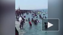Стало известно о не помещающихся на пляжах Сочи туристах
