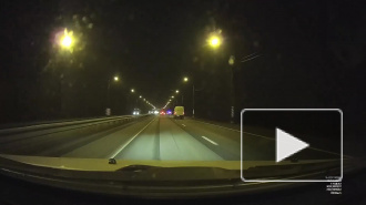 Видео: на Мурманском шоссе водитель насмерть сбил лося