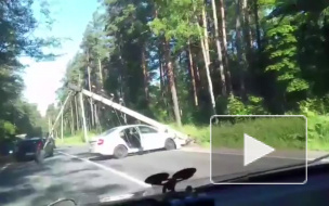 Автомобиль придавило столбом на Приморском шоссе: видео