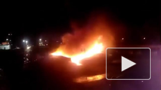На платной стоянке в Рязани сгорели 6 автомобилей