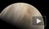 Глава NASA оценил обнаружение фосфина в атмосфере Венеры