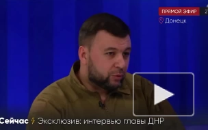 Глава ДНР: ситуация в Донбассе "не рассосется сама собой"