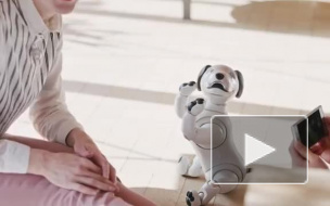 Sony представила новое поколение электронной собаки Aibo