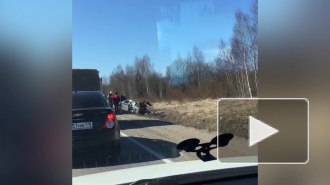 Видео: по дороге на Щеглово машина улетела в кювет