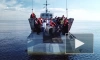 "Фонд друзей балтийской нерпы" выпустил в море четверых тюленей