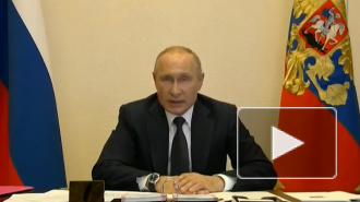 Путин заявил, что России удалось затормозить распространение коронавируса