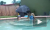 малыш потрясающе плывет!