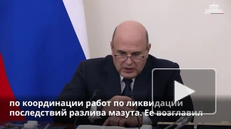 Мишустин создал комиссию по ликвидации последствий разлива мазута в Керченском проливе