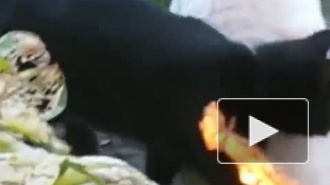 Массаж заказывали