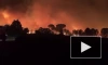 На юго-востоке Франции вспыхнул крупный лесной пожар