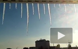 К выходным сугробы в Петербурге превратятся в лужи и слякоть