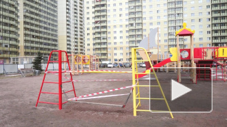 Что происходит в "изолированном" Мурино прямо сейчас