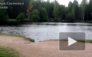 Кровавое убийство девушки в Сосновке совершил обычный школьник