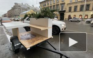 В центре Петербурга установили прицепы со скамейками и растениями