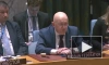 СБ ООН не принял резолюцию России по расследованию теракта на «Северных потоках»