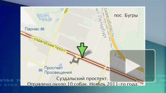 Карта массовых отравлений собак в Петербурге