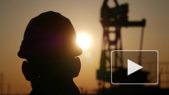 Die Welt: Россия воспользовалась санкционной политикой США