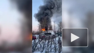 Мощный пожар на автосервисе в Пушкине локализовали