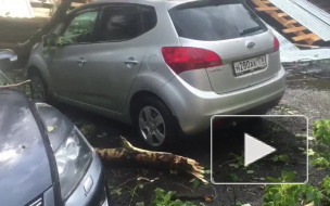 МЧС: на Петербург надвигается очередная гроза, опасная для жизни