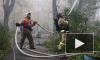 Появилось новое видео с пожара на улице Фидосеенко